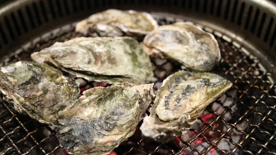 Oysters of the kind landed at Porthilly and served at Paul Ainsworth at No. 6