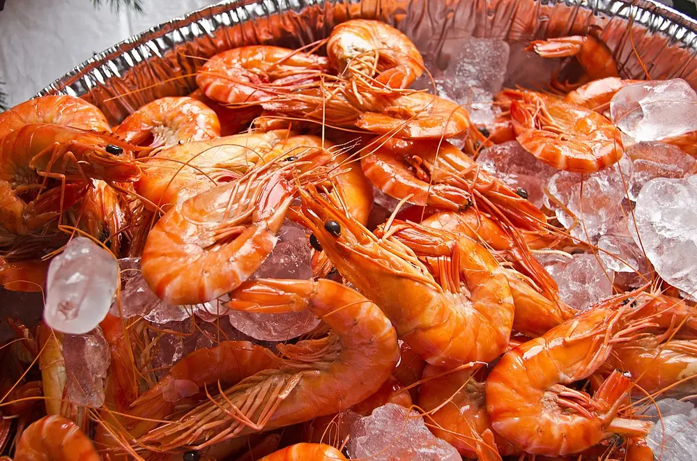 Langoustines of the kind landed in Loch Dunvegan for The Three Chimneys