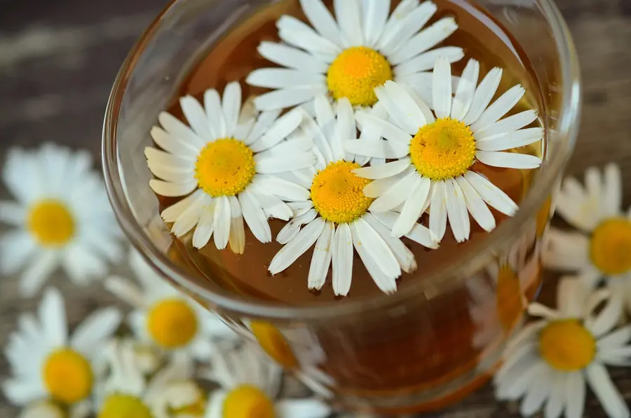 Floral infusion recalling the hot-and-iced tea course served at The Fat Duck
