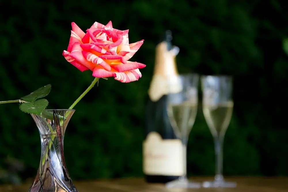 Sparkling wine served on arrival as part of The Kitchin experience