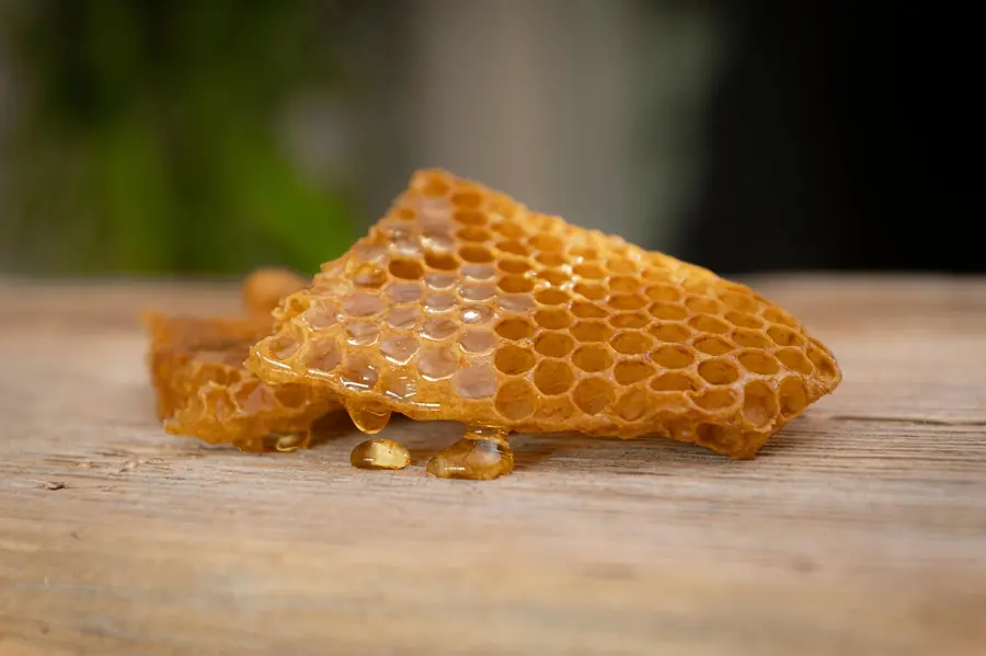 Honeycomb of the kind used in the closing sweet course at L'Enclume